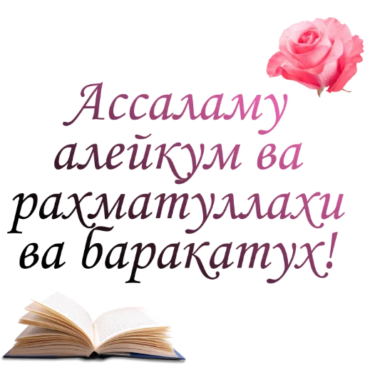 @sestram @sestram -