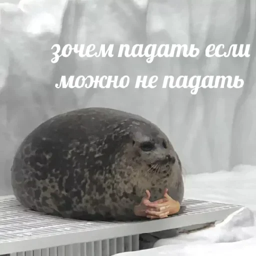 💡 Цитаты @animerar_bot 💡 Цитаты @animerar_bot -