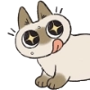 シャム猫あずき シャム猫あずき -