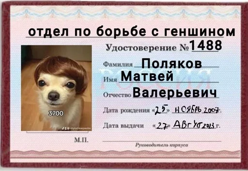 Залетай в @ShitStikers Залетай в @ShitStikers -