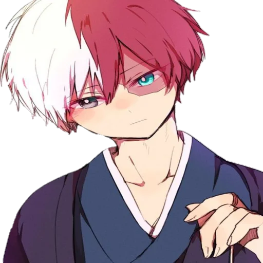 Shoto Todoroki @R666d1 Shoto Todoroki @R666d1 -