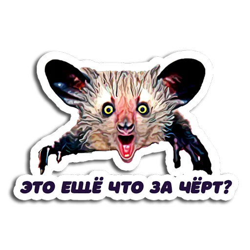 Shots_Ce - @ShotsCe Shots_Ce - @ShotsCe -