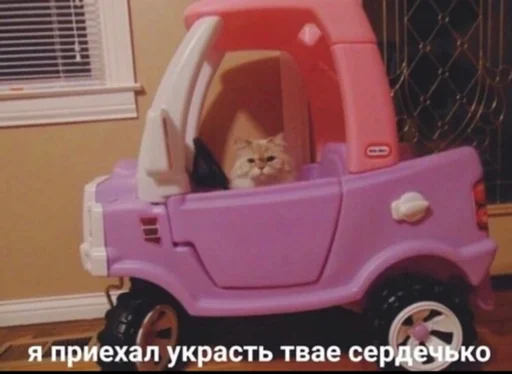 tire tire wheel car