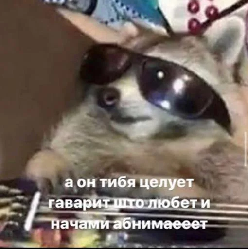 text text animal mammal