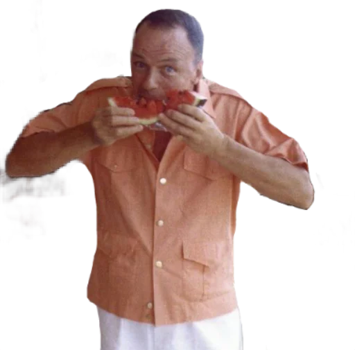 Sinatra top Sinatra top -
