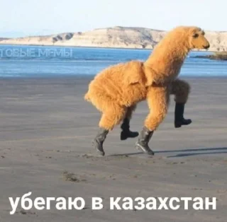Стикер Хуй бумажный - 2