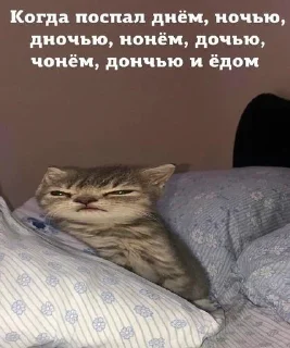 Стикер Хуй бумажный - 10