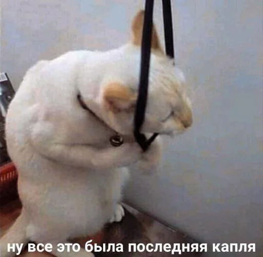 Так надо @Themki_robot Так надо @Themki_robot -