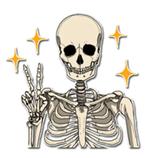 Skeleton Bob / By OsmerOmar Skeleton Bob / By OsmerOmar - skull