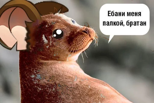 Муши-муши Муши-муши -