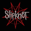 Maggots Maggots -