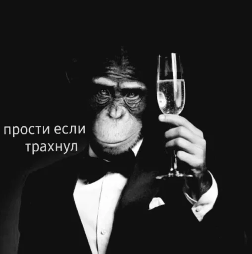 Стикер фугляпак :: @fStikBot - 9