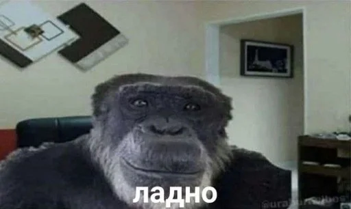 Стикер фугляпак :: @fStikBot - 4