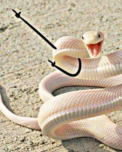 SNAKES @animestickerchannel SNAKES @animestickerchannel -
