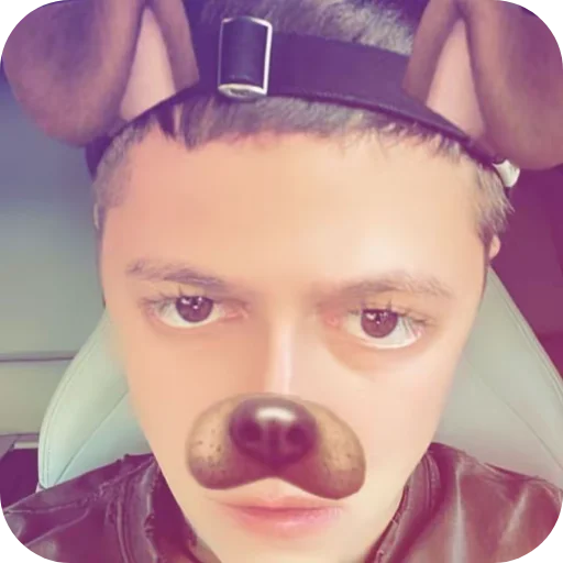 собачий кайф 🐶 собачий кайф 🐶 -