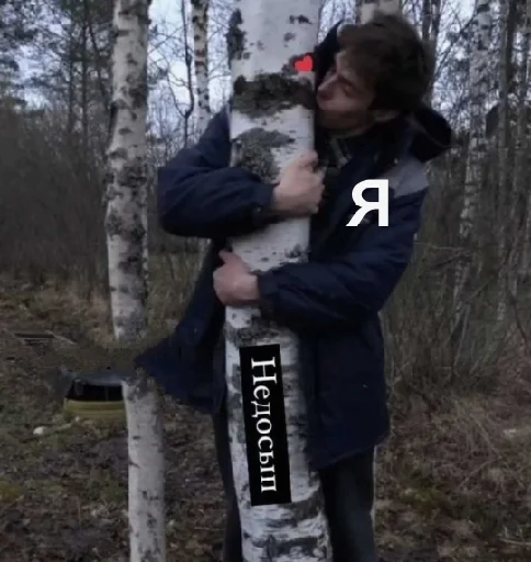 Стая 🐕 Стая 🐕 -