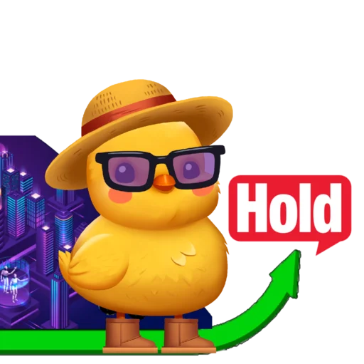 SolChicks SolChicks -