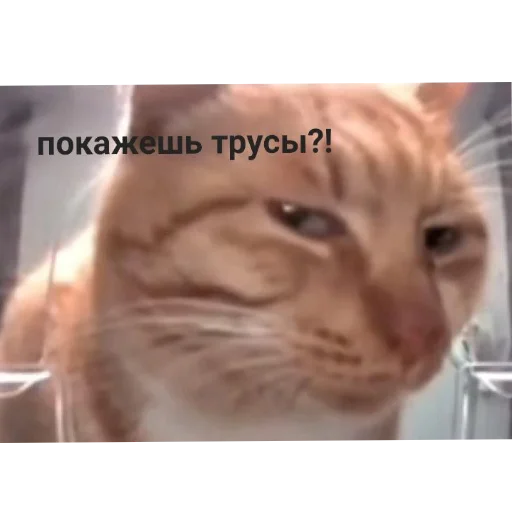 СолянОчка СолянОчка -