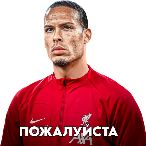 sonaldo пон sonaldo пон -