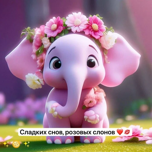 Сонякатч Сонякатч -