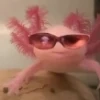 Анастасиська Анастасиська -