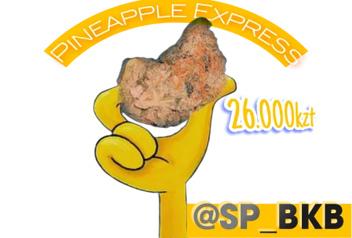 Sort spb - 