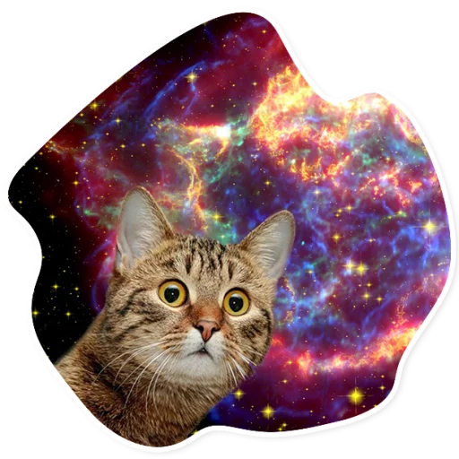 SpaceCats @StikeryTG SpaceCats @StikeryTG -