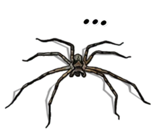 Spiders Time @stickersb2b Spiders Time @stickersb2b -