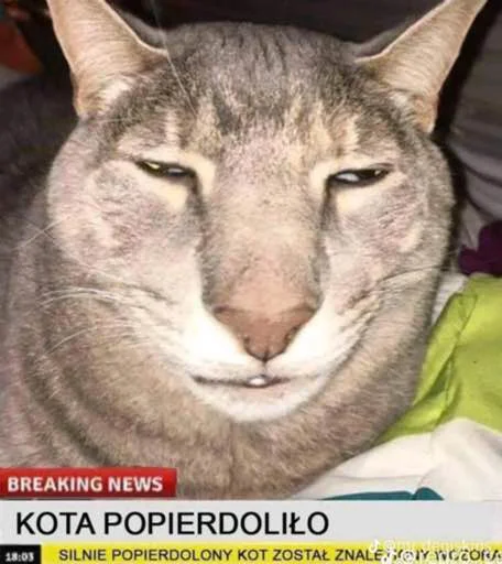 Spierdolony Spierdolony -