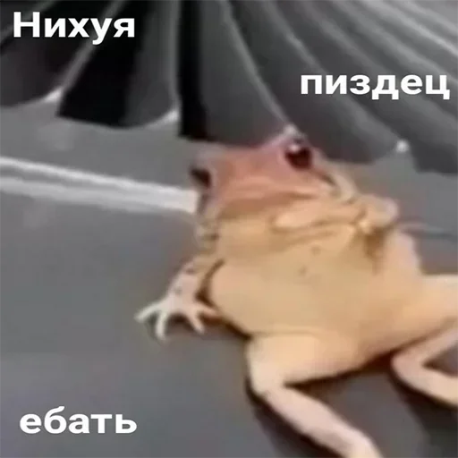 Больше стикеров: @sticerru Больше стикеров: @sticerru -