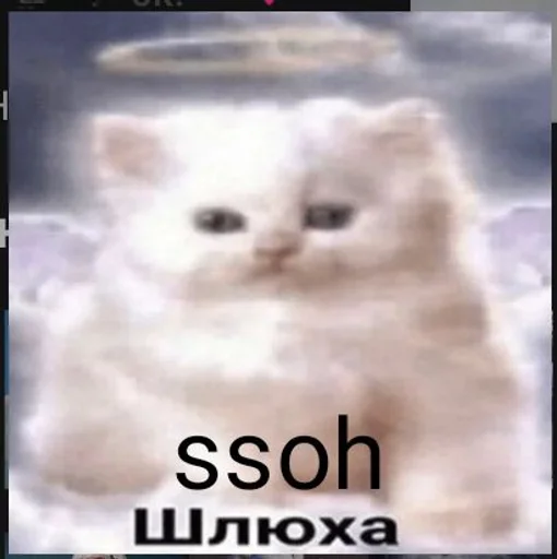 Мы дебилы :: @fStikBot Мы дебилы :: @fStikBot -