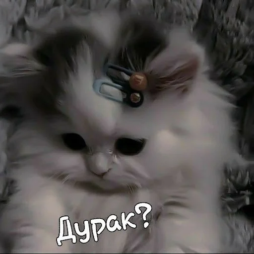 @Stzxcel :: @fStikBot @Stzxcel :: @fStikBot - мультфильм