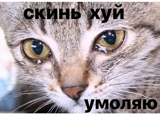 Jizn' Jizn' -