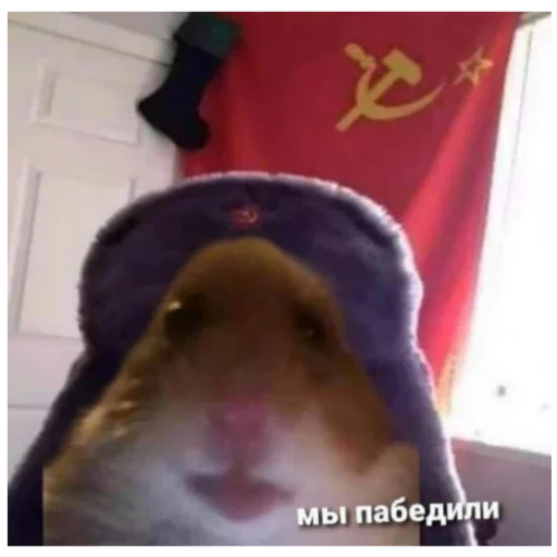 Стикерпак ДАРЬИ АНДРЕЕВНЫ и ещё кого то Стикерпак ДАРЬИ АНДРЕЕВНЫ и ещё кого то -