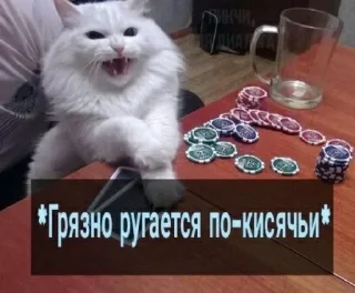 Стики котиковых by @fStikBot Стики котиковых by @fStikBot - cat
