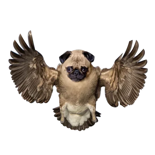Strange Animals @stickersb2b Strange Animals @stickersb2b -
