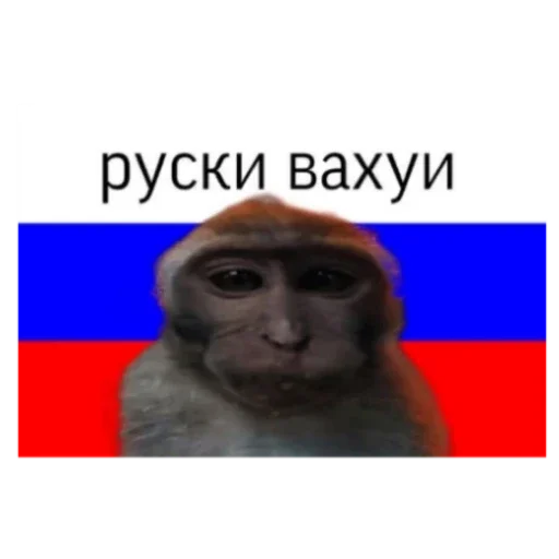 Страны вахуи Страны вахуи -