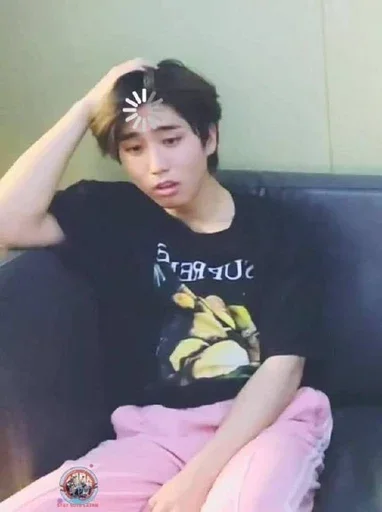 skz skz -