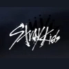 Stray kids