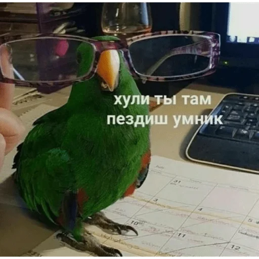 Родина дурка зовёт Родина дурка зовёт -