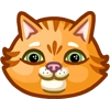 Striped Cat Striped Cat -
