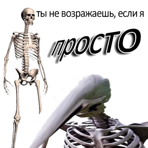text text skull skeleton