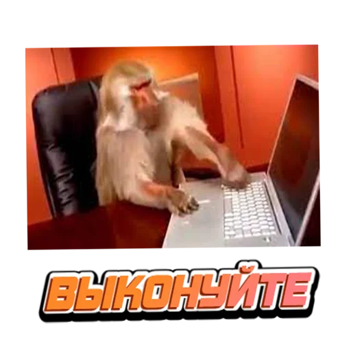 text text laptop computer