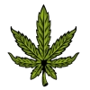 4:20 @WEEDMANY 4:20 @WEEDMANY -