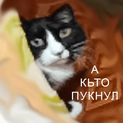 Стикеры тут: @stikeryv Стикеры тут: @stikeryv -