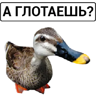 Sticker Больше стикеров: @sticerru - 0