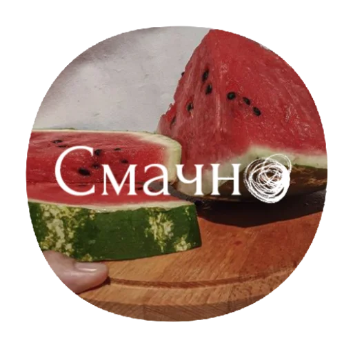 melon melon watermelon fruit