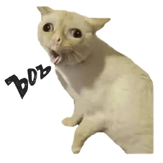 (@StickerHyicker) Пушистые Пидоры 2 (@StickerHyicker) Пушистые Пидоры 2 - животное