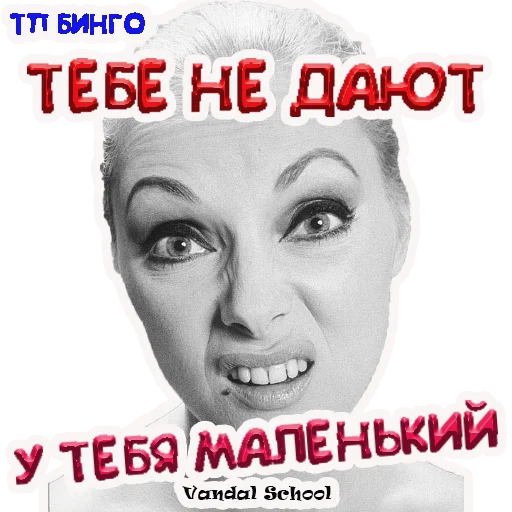 ТП Бинго Vandal School ТП Бинго Vandal School -
