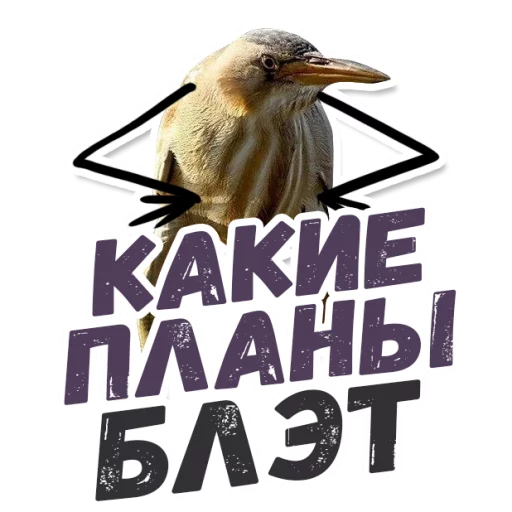text bird beak